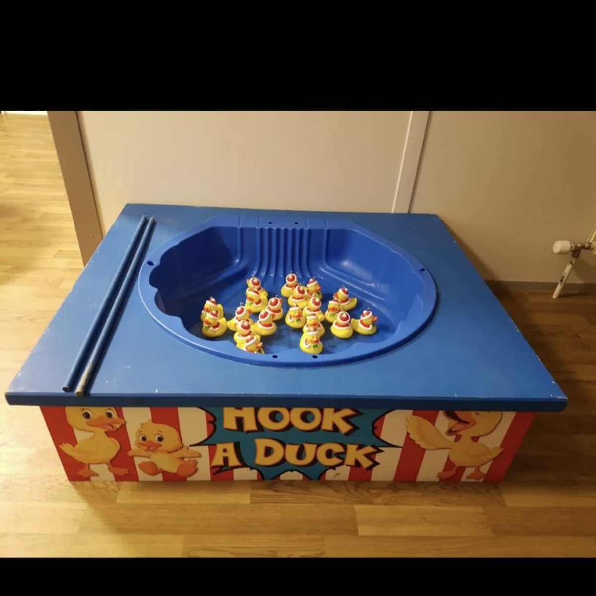 HookADuck donation Tyndale Primary School